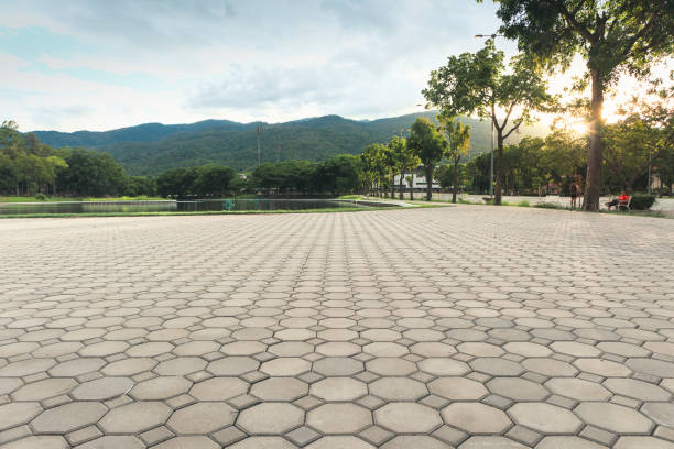 Best Professional Driveway Pavers  in Davison, MI